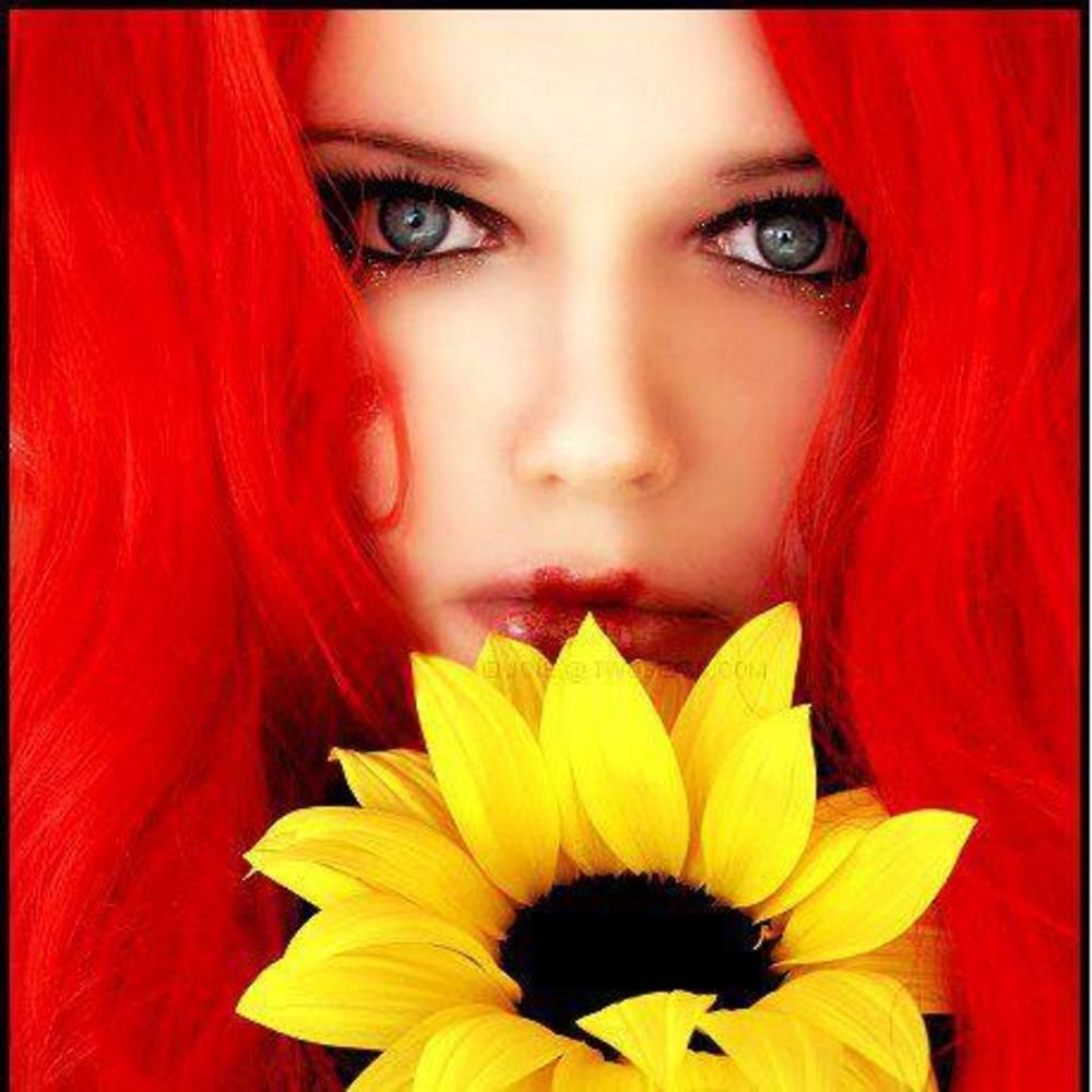 Meet your Posher, Rosemary